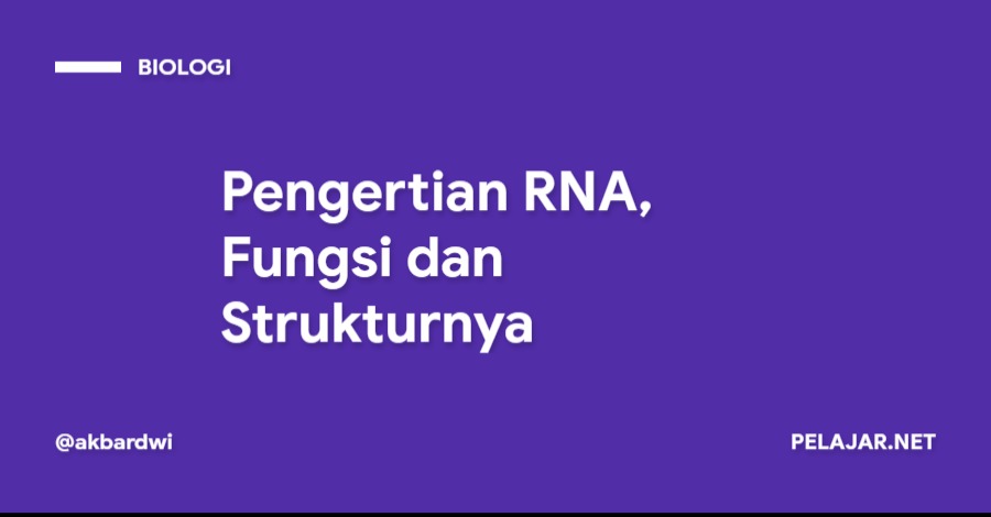 Pengertian RNA, Fungsi dan Strukturnya