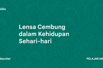 Lensa Cembung dalam Kehidupan Sehari-hari