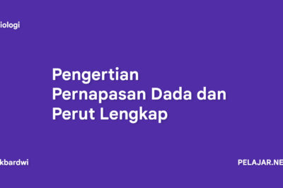 Pengertian Pernapasan Dada dan Perut Lengkap