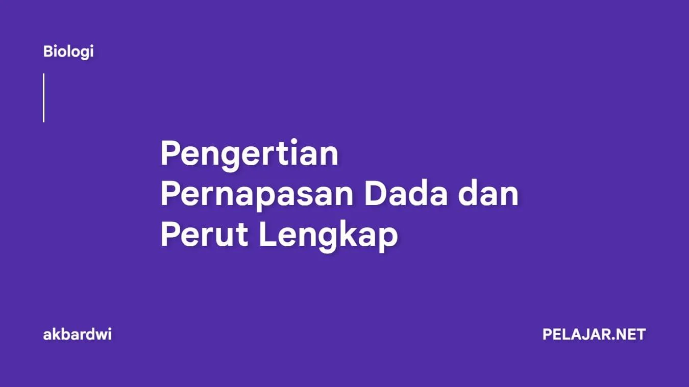 Pengertian Pernapasan Dada dan Perut Lengkap